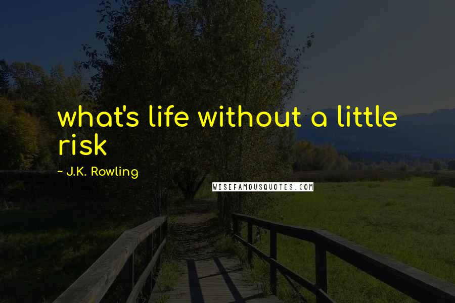 J.K. Rowling Quotes: what's life without a little risk