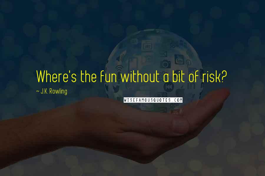 J.K. Rowling Quotes: Where's the fun without a bit of risk?