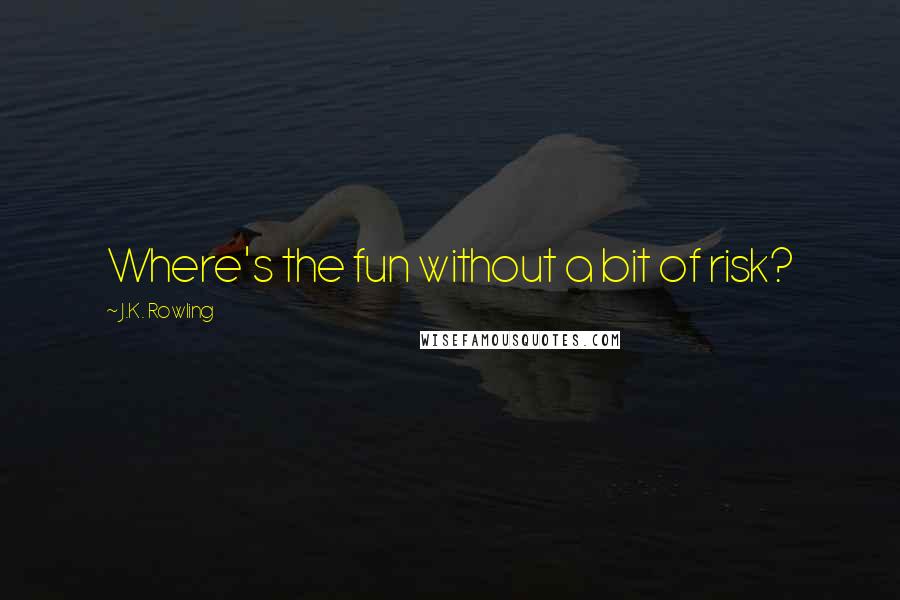 J.K. Rowling Quotes: Where's the fun without a bit of risk?