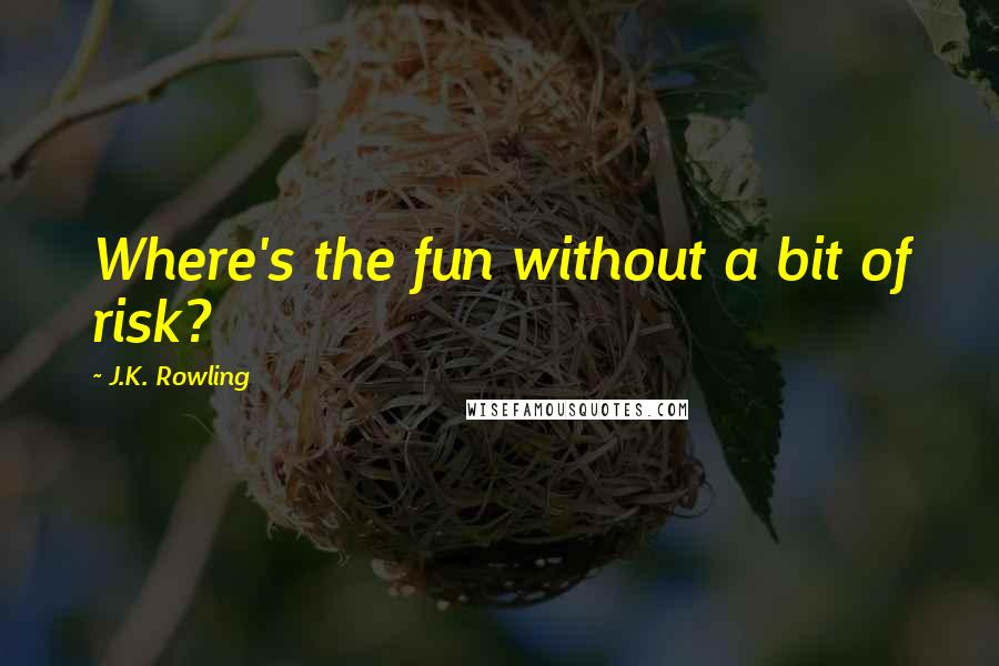 J.K. Rowling Quotes: Where's the fun without a bit of risk?