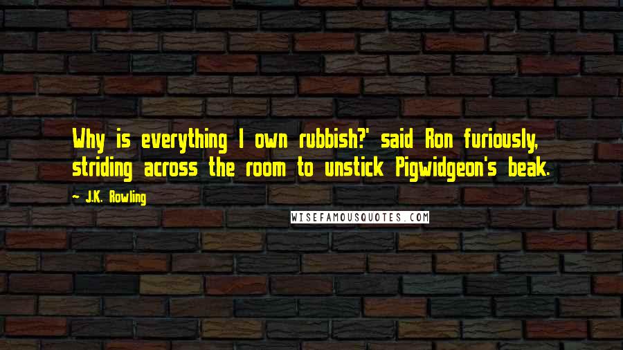 J.K. Rowling Quotes: Why is everything I own rubbish?' said Ron furiously, striding across the room to unstick Pigwidgeon's beak.