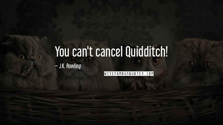 J.K. Rowling Quotes: You can't cancel Quidditch!