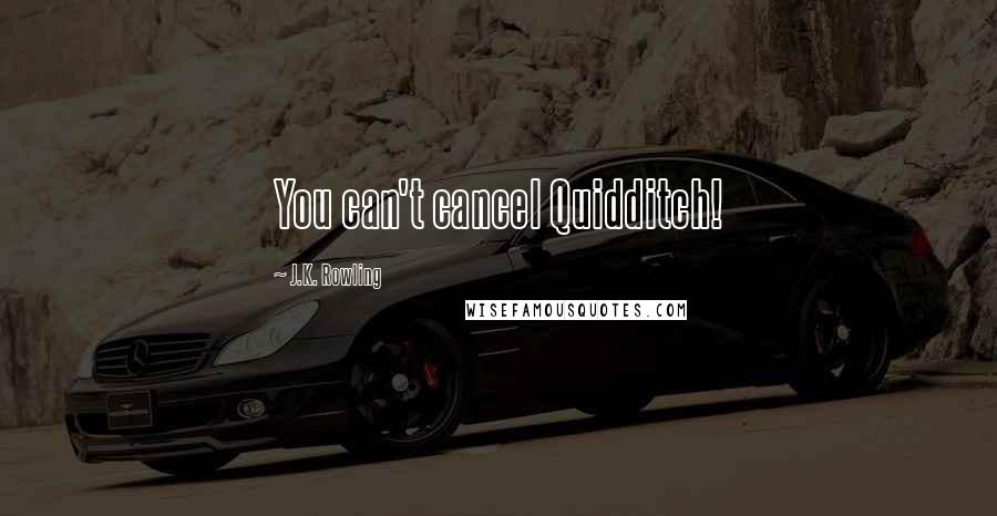 J.K. Rowling Quotes: You can't cancel Quidditch!