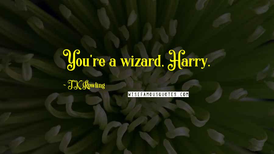 J.K. Rowling Quotes: You're a wizard, Harry.