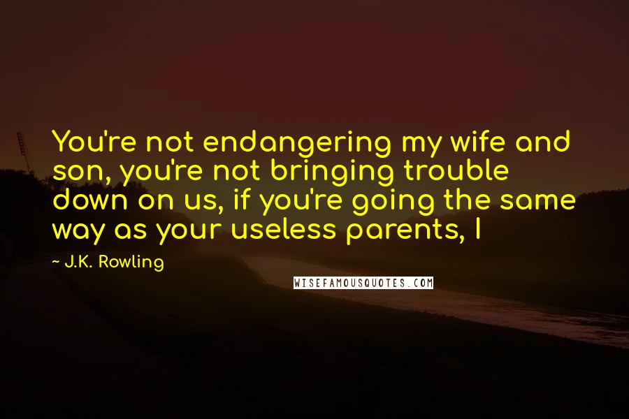 J.K. Rowling Quotes: You're not endangering my wife and son, you're not bringing trouble down on us, if you're going the same way as your useless parents, I