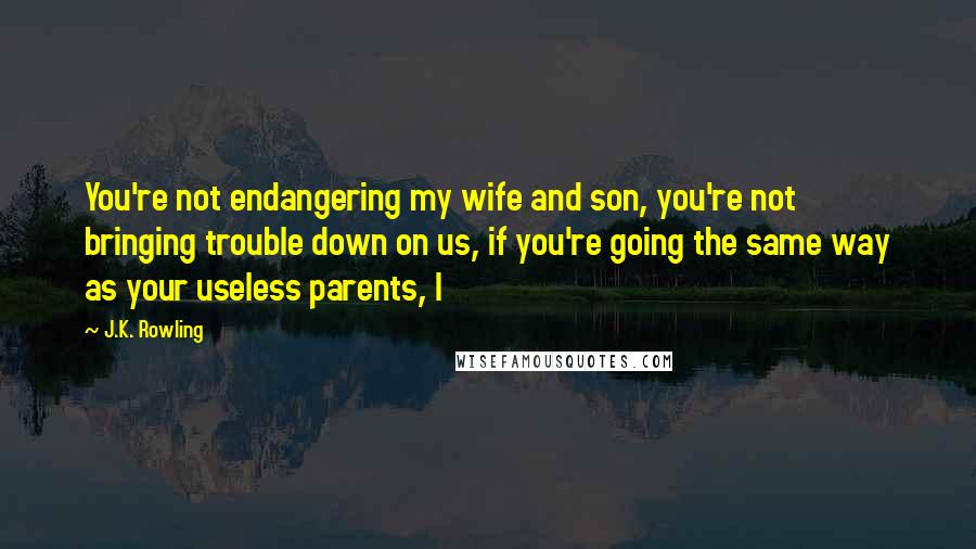 J.K. Rowling Quotes: You're not endangering my wife and son, you're not bringing trouble down on us, if you're going the same way as your useless parents, I