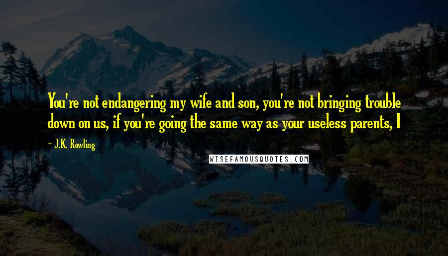 J.K. Rowling Quotes: You're not endangering my wife and son, you're not bringing trouble down on us, if you're going the same way as your useless parents, I