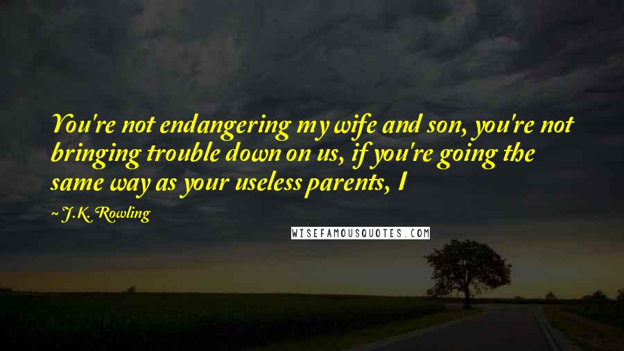 J.K. Rowling Quotes: You're not endangering my wife and son, you're not bringing trouble down on us, if you're going the same way as your useless parents, I