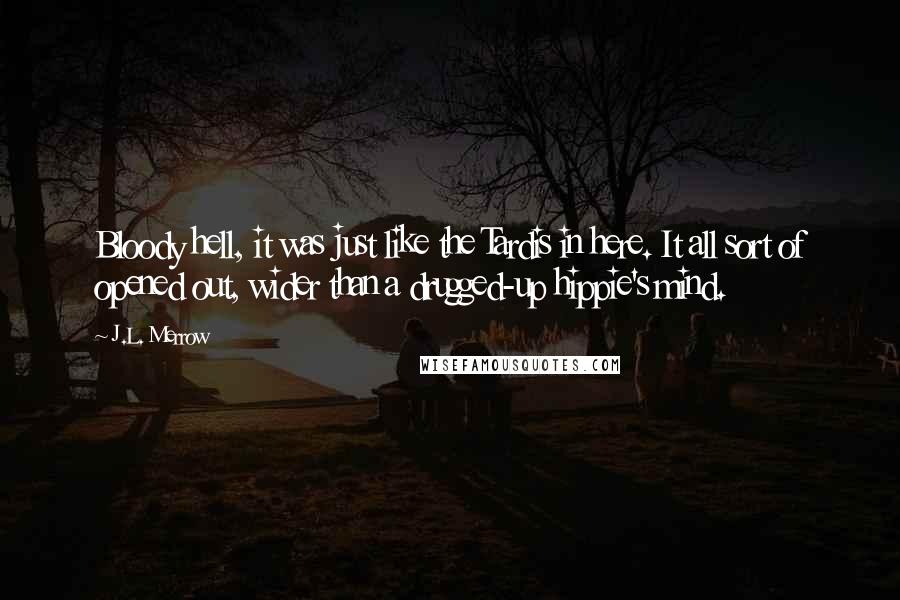 J.L. Merrow Quotes: Bloody hell, it was just like the Tardis in here. It all sort of opened out, wider than a drugged-up hippie's mind.