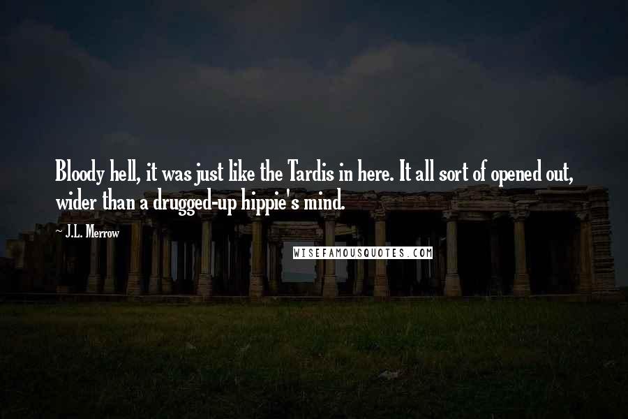 J.L. Merrow Quotes: Bloody hell, it was just like the Tardis in here. It all sort of opened out, wider than a drugged-up hippie's mind.
