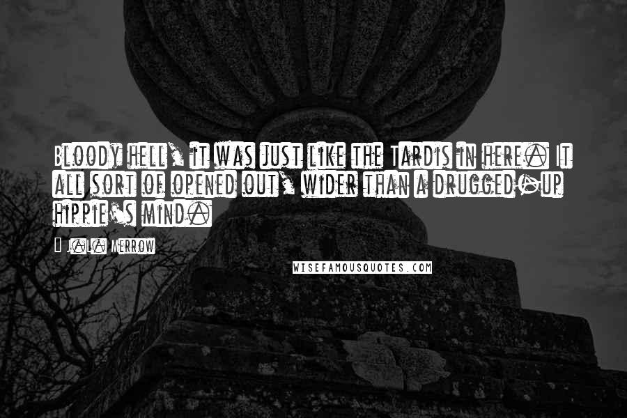 J.L. Merrow Quotes: Bloody hell, it was just like the Tardis in here. It all sort of opened out, wider than a drugged-up hippie's mind.