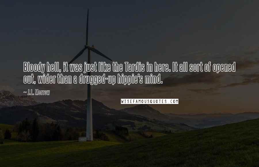 J.L. Merrow Quotes: Bloody hell, it was just like the Tardis in here. It all sort of opened out, wider than a drugged-up hippie's mind.