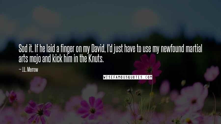 J.L. Merrow Quotes: Sod it. If he laid a finger on my David, I'd just have to use my newfound martial arts mojo and kick him in the Knuts.