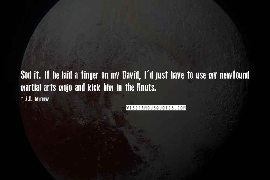 J.L. Merrow Quotes: Sod it. If he laid a finger on my David, I'd just have to use my newfound martial arts mojo and kick him in the Knuts.