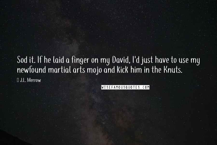 J.L. Merrow Quotes: Sod it. If he laid a finger on my David, I'd just have to use my newfound martial arts mojo and kick him in the Knuts.