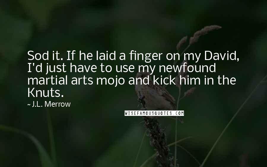 J.L. Merrow Quotes: Sod it. If he laid a finger on my David, I'd just have to use my newfound martial arts mojo and kick him in the Knuts.