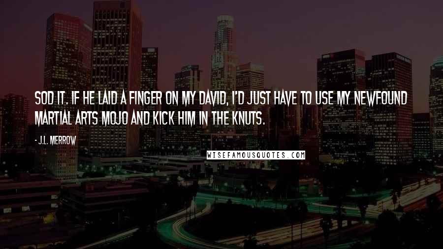 J.L. Merrow Quotes: Sod it. If he laid a finger on my David, I'd just have to use my newfound martial arts mojo and kick him in the Knuts.