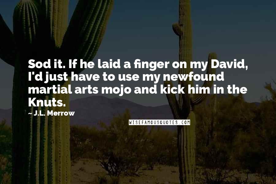 J.L. Merrow Quotes: Sod it. If he laid a finger on my David, I'd just have to use my newfound martial arts mojo and kick him in the Knuts.