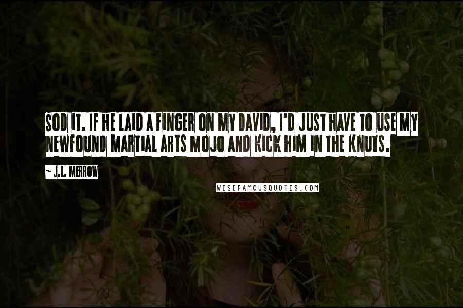 J.L. Merrow Quotes: Sod it. If he laid a finger on my David, I'd just have to use my newfound martial arts mojo and kick him in the Knuts.