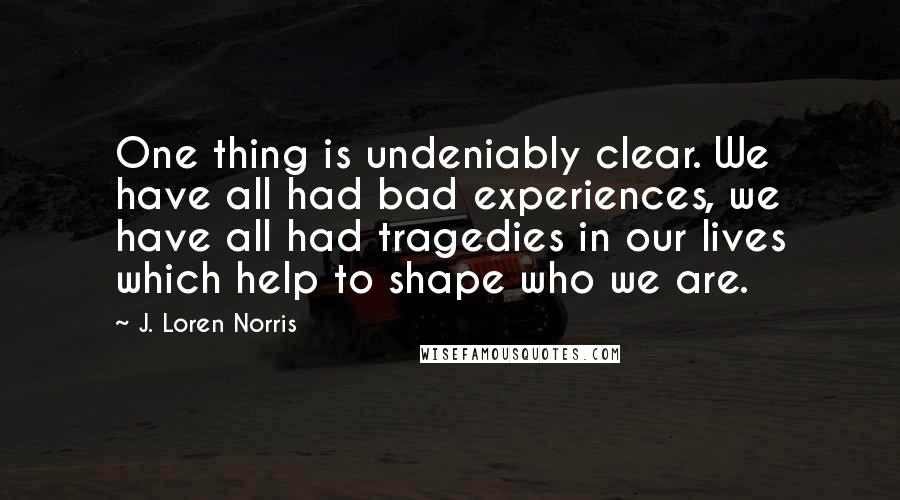 J. Loren Norris Quotes: One thing is undeniably clear. We have all had bad experiences, we have all had tragedies in our lives which help to shape who we are.