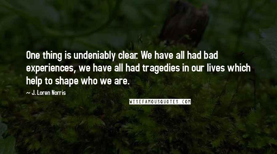 J. Loren Norris Quotes: One thing is undeniably clear. We have all had bad experiences, we have all had tragedies in our lives which help to shape who we are.