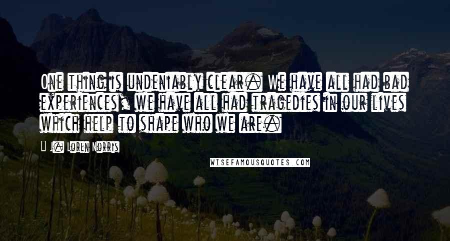 J. Loren Norris Quotes: One thing is undeniably clear. We have all had bad experiences, we have all had tragedies in our lives which help to shape who we are.