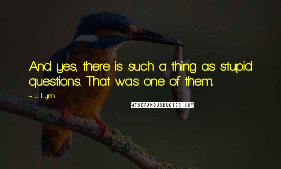 J. Lynn Quotes: And yes, there is such a thing as stupid questions. That was one of them.