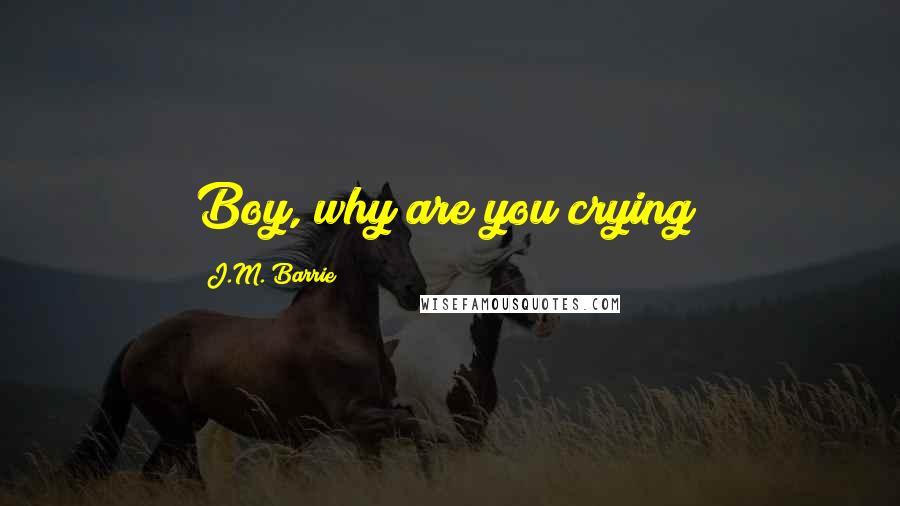 J.M. Barrie Quotes: Boy, why are you crying?