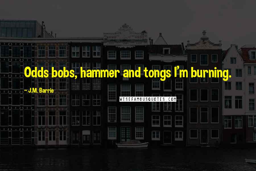 J.M. Barrie Quotes: Odds bobs, hammer and tongs I'm burning.