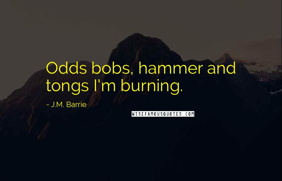 J.M. Barrie Quotes: Odds bobs, hammer and tongs I'm burning.