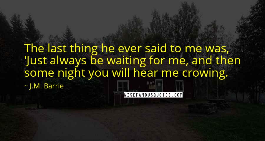 J.M. Barrie Quotes: The last thing he ever said to me was, 'Just always be waiting for me, and then some night you will hear me crowing.