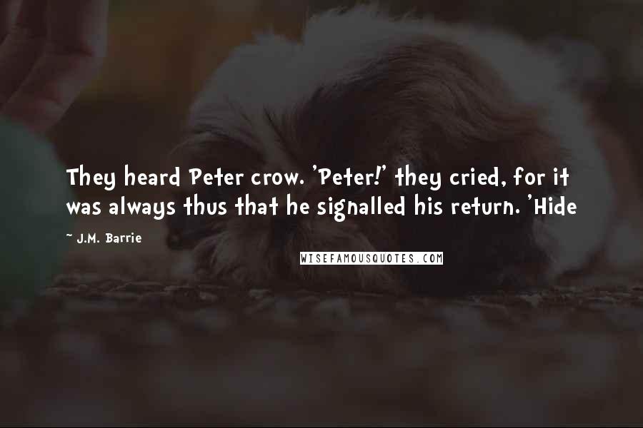 J.M. Barrie Quotes: They heard Peter crow. 'Peter!' they cried, for it was always thus that he signalled his return. 'Hide