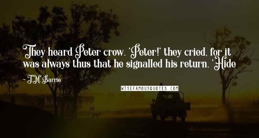 J.M. Barrie Quotes: They heard Peter crow. 'Peter!' they cried, for it was always thus that he signalled his return. 'Hide