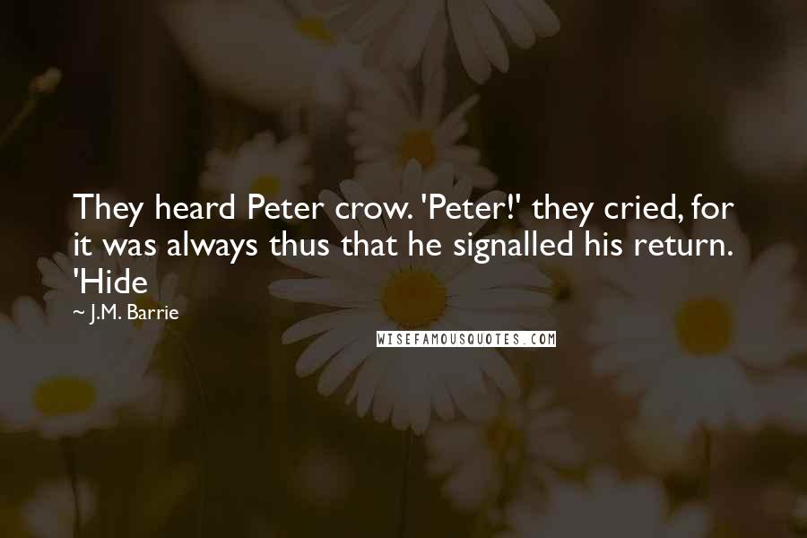 J.M. Barrie Quotes: They heard Peter crow. 'Peter!' they cried, for it was always thus that he signalled his return. 'Hide