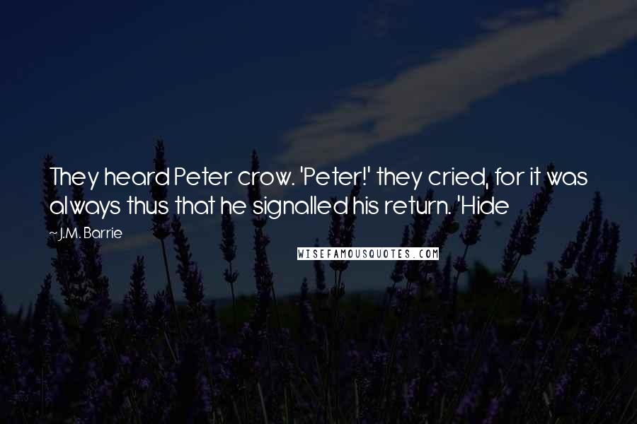 J.M. Barrie Quotes: They heard Peter crow. 'Peter!' they cried, for it was always thus that he signalled his return. 'Hide