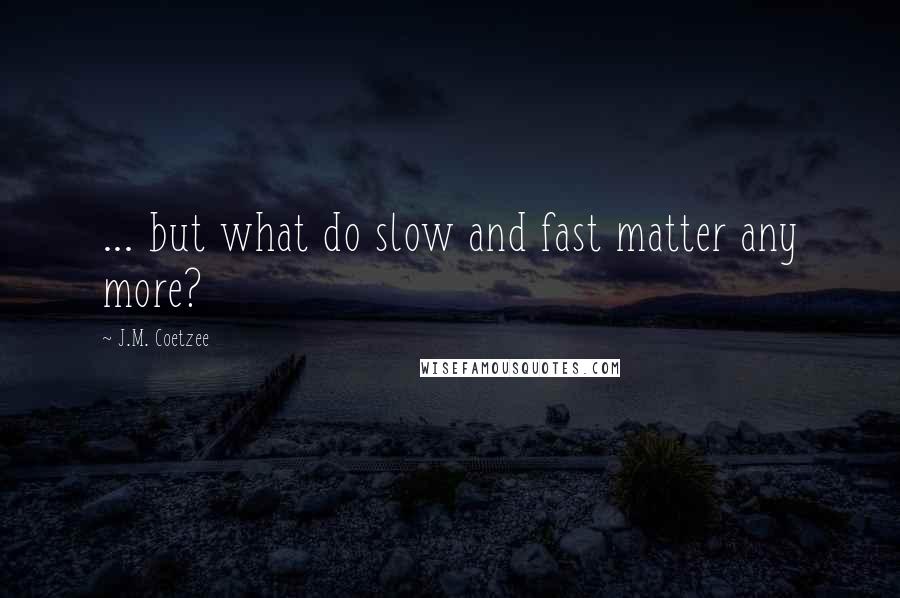J.M. Coetzee Quotes: ... but what do slow and fast matter any more?