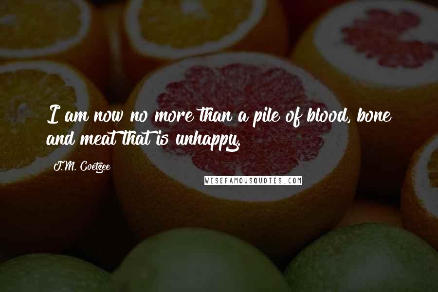 J.M. Coetzee Quotes: I am now no more than a pile of blood, bone and meat that is unhappy.