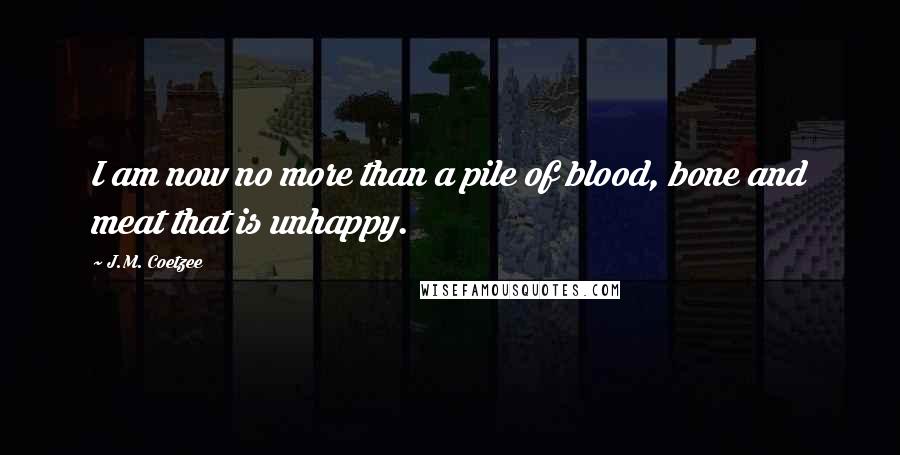 J.M. Coetzee Quotes: I am now no more than a pile of blood, bone and meat that is unhappy.