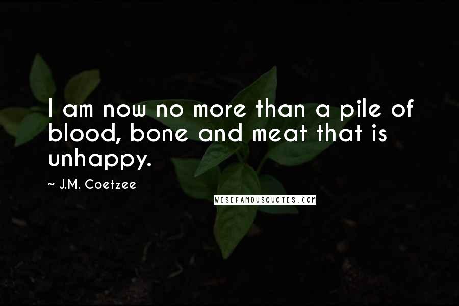 J.M. Coetzee Quotes: I am now no more than a pile of blood, bone and meat that is unhappy.