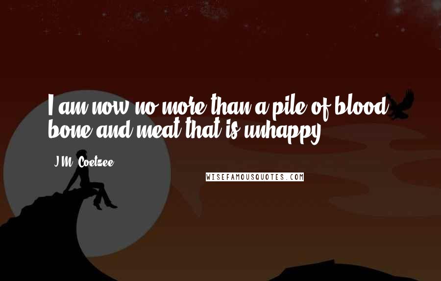 J.M. Coetzee Quotes: I am now no more than a pile of blood, bone and meat that is unhappy.