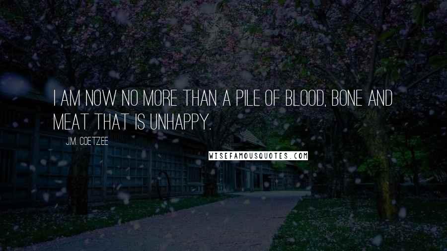 J.M. Coetzee Quotes: I am now no more than a pile of blood, bone and meat that is unhappy.