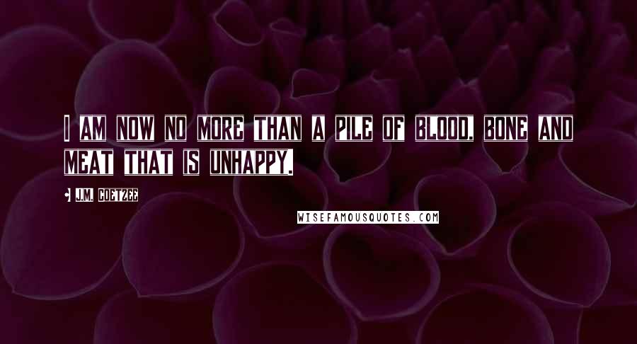 J.M. Coetzee Quotes: I am now no more than a pile of blood, bone and meat that is unhappy.