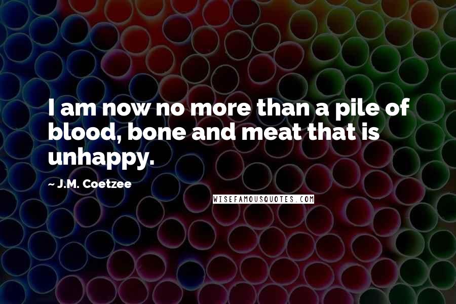 J.M. Coetzee Quotes: I am now no more than a pile of blood, bone and meat that is unhappy.