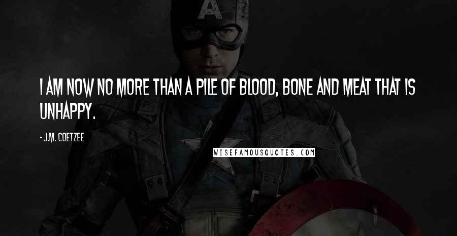 J.M. Coetzee Quotes: I am now no more than a pile of blood, bone and meat that is unhappy.