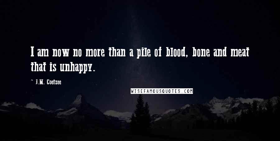 J.M. Coetzee Quotes: I am now no more than a pile of blood, bone and meat that is unhappy.