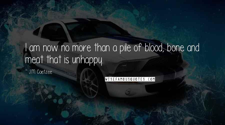 J.M. Coetzee Quotes: I am now no more than a pile of blood, bone and meat that is unhappy.