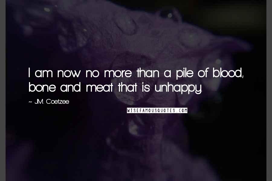 J.M. Coetzee Quotes: I am now no more than a pile of blood, bone and meat that is unhappy.