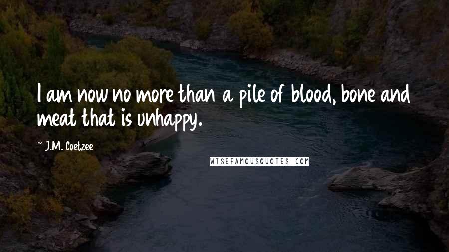 J.M. Coetzee Quotes: I am now no more than a pile of blood, bone and meat that is unhappy.