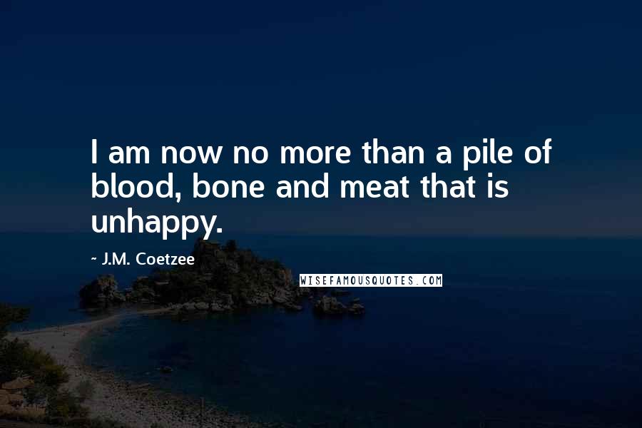 J.M. Coetzee Quotes: I am now no more than a pile of blood, bone and meat that is unhappy.