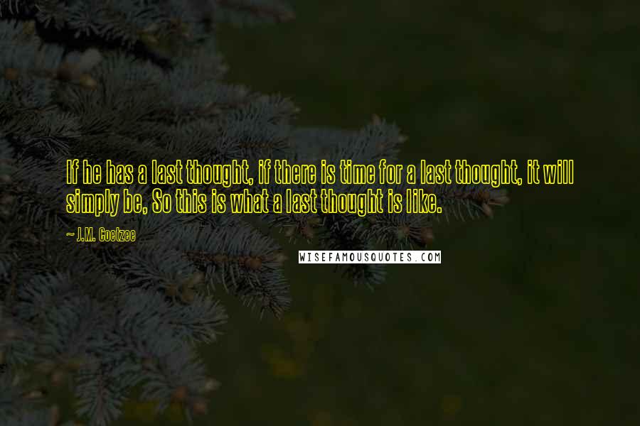 J.M. Coetzee Quotes: If he has a last thought, if there is time for a last thought, it will simply be, So this is what a last thought is like.